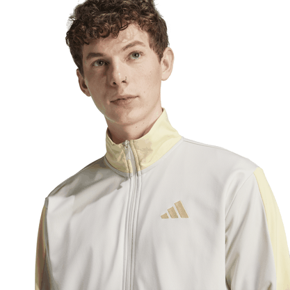 Agasalho Adidas Sportswear Basic Tricot Colorblock