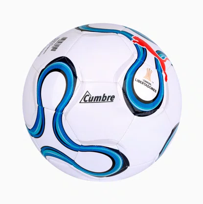 Bola Puma Cumbre Libertadores MS 2026