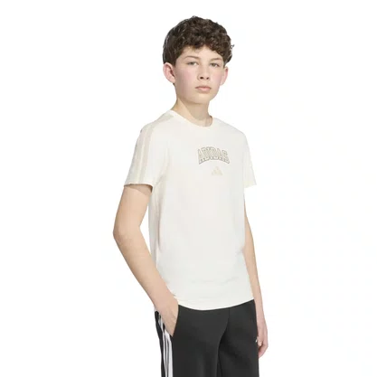 Camiseta Adidas Collegiate Graphic