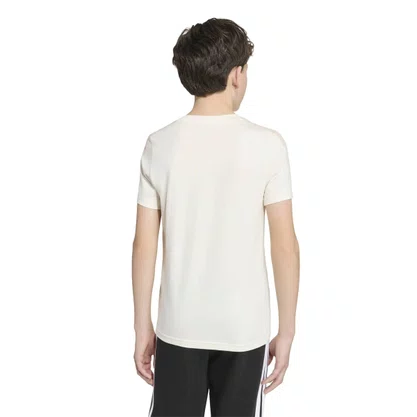 Camiseta Adidas Collegiate Graphic