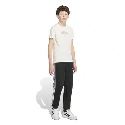 Camiseta Adidas Collegiate Graphic
