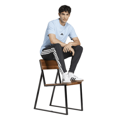 Camiseta Adidas Essentials Small Logo