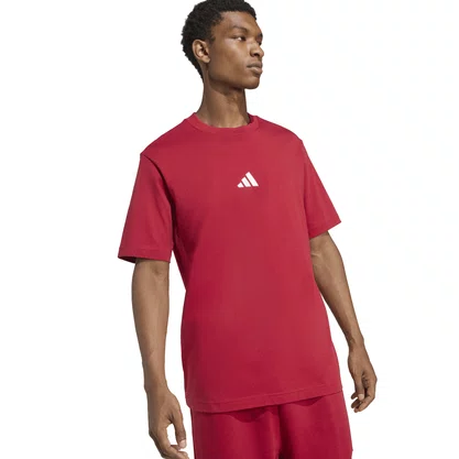 Camiseta Adidas Essentials Small Logo