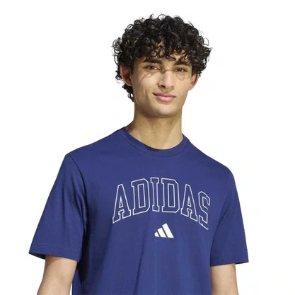 Camiseta Adidas Universitária Lineage