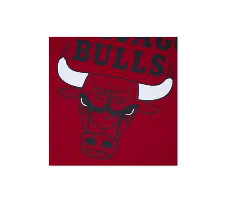 Camiseta New Era NBA Chicago Bulls World Of Logos