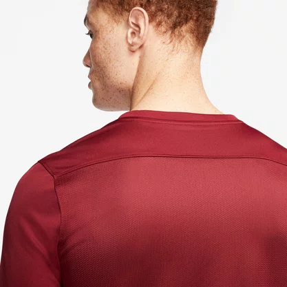 Camiseta Nike Dri-Fit Park
