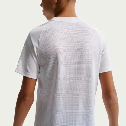 Camiseta Nike Dri-fit Park VIII