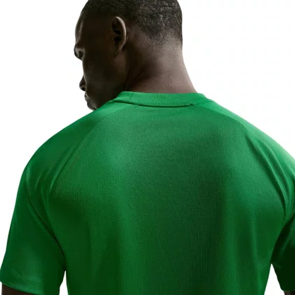 Camiseta Nike Dri-fit Park VIII