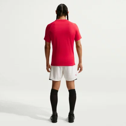 Camiseta Nike Dri-fit Park VIII