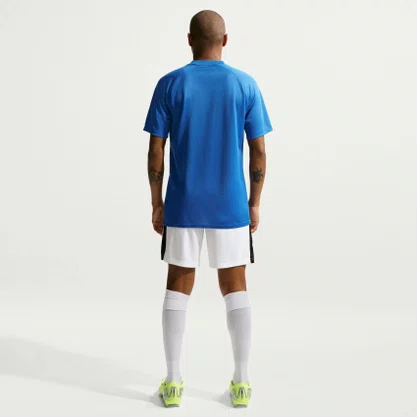 Camiseta Nike Dri-fit Park VIII