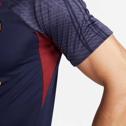 Camiseta Nike Paris Saint Germain Strike