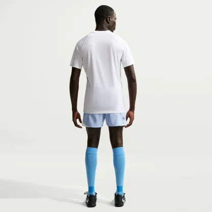 Camiseta Nike Park VIII