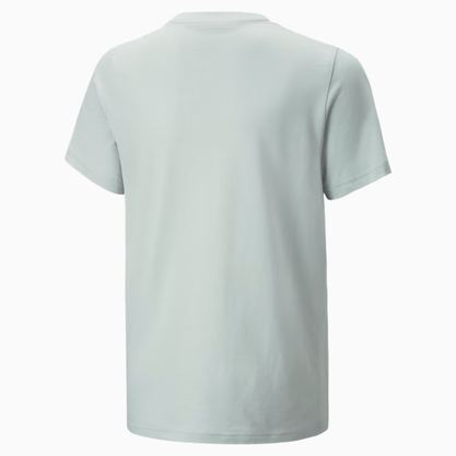 Camiseta Puma Active Sports Graphic