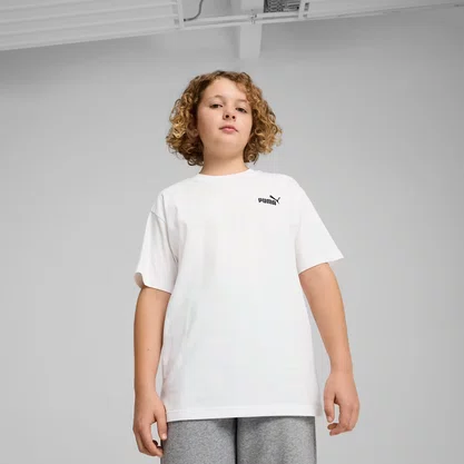 Camiseta Puma Essentials Small Logo No. 1