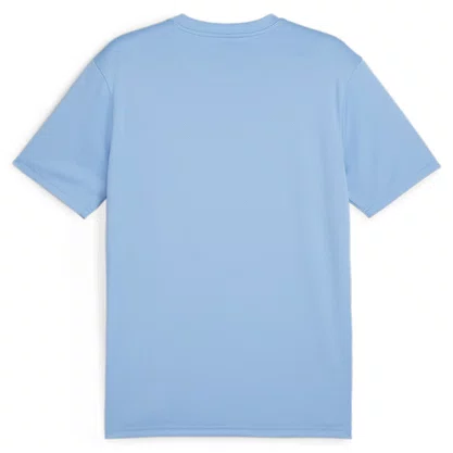 Camiseta Puma Teamgoal Football