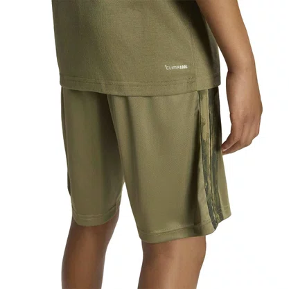Conjunto Adidas Train Camo