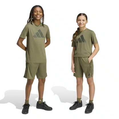 Conjunto Adidas Train Camo