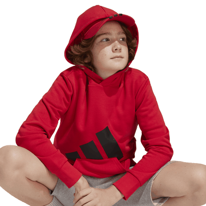 Moletom Adidas Capuz Essentials