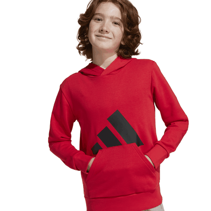 Moletom Adidas Capuz Essentials