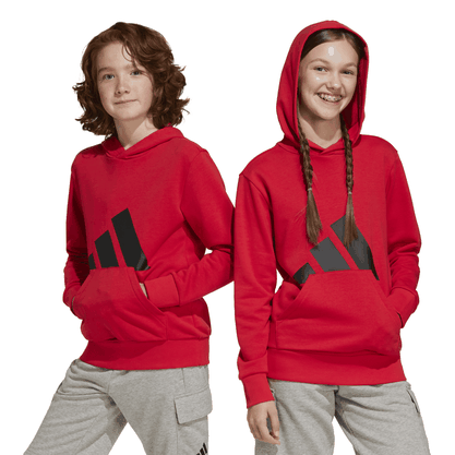 Moletom Adidas Capuz Essentials