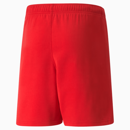 Shorts Puma TeamRise