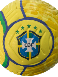 Bola de Futebol Campo Brasil Nike Pich Conmebol Copa América