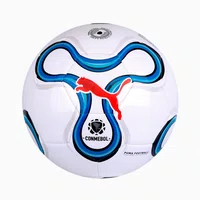 Bola Puma Cumbre Libertadores MS 2026
