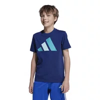 Camiseta Adidas Big Logo