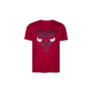 Camiseta New Era NBA Chicago Bulls World Of Logos