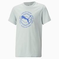 Camiseta Puma Active Sports Graphic