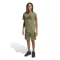 Conjunto Adidas Train Camo