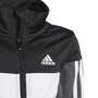 Agasalho Adidas Brilhante Tiberio 3-Stripes Colorblock