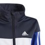 Agasalho Adidas Brilhante Tiberio 3-Stripes Colorblock