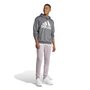Agasalho Adidas Capuz Moletinho Sportswear