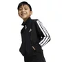 Agasalho Adidas Essentials Climacool Inf
