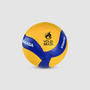 Bola de Voleibol Mikasa V390W