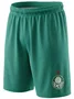 Calção Palmeiras 1914 Betel