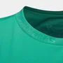 Camisa Palmeiras 1914 Betel