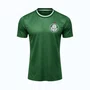 Camisa Palmeiras Home Betel
