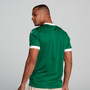 Camisa Puma Palmeiras Torcedor Casa 2025