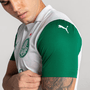 Camisa Puma Palmeiras Torcedor Fora 2025