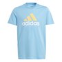 Camiseta Adidas Big Logo
