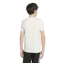 Camiseta Adidas Collegiate Graphic
