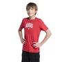Camiseta Adidas M/C Collegiate