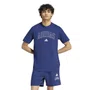 Camiseta Adidas Universitária Lineage