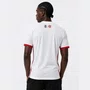 Camiseta Flamengo Braziline Acorde