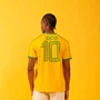 Camiseta Flamengo Braziline Destino Zico