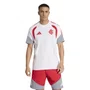 Camiseta Internacional Adidas Competition