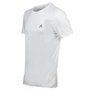 Camiseta Le Coq Sportif Tee TS Dry