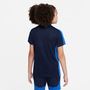 Camiseta Nike Dri-FIT Academy 23